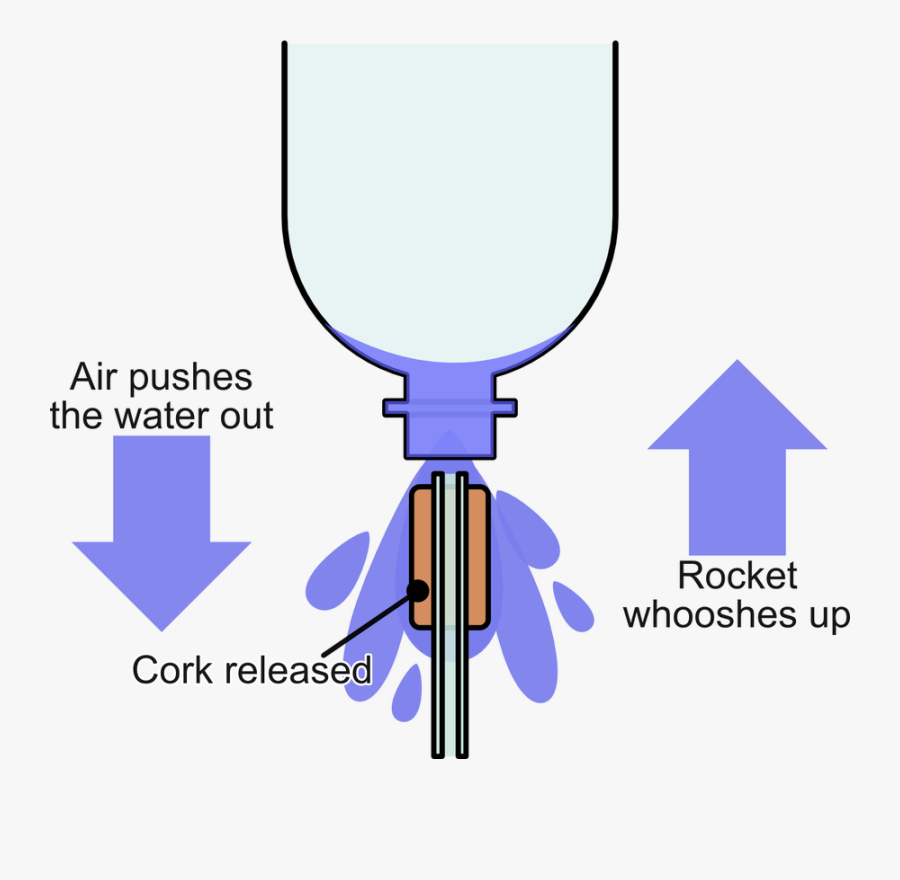 Water Rocket Cliparts - Catabolism Of Skeletal Muscle, Transparent Clipart