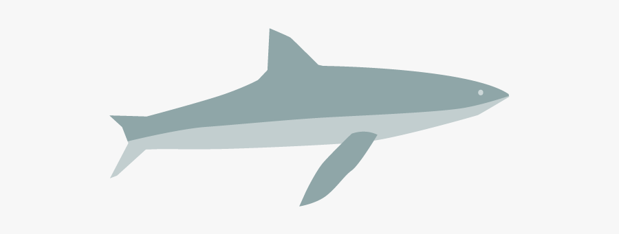 Wholphin, Transparent Clipart