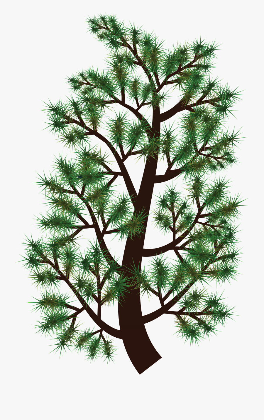 Free Clipart Of A Pine Tree Branch - Tree, Transparent Clipart