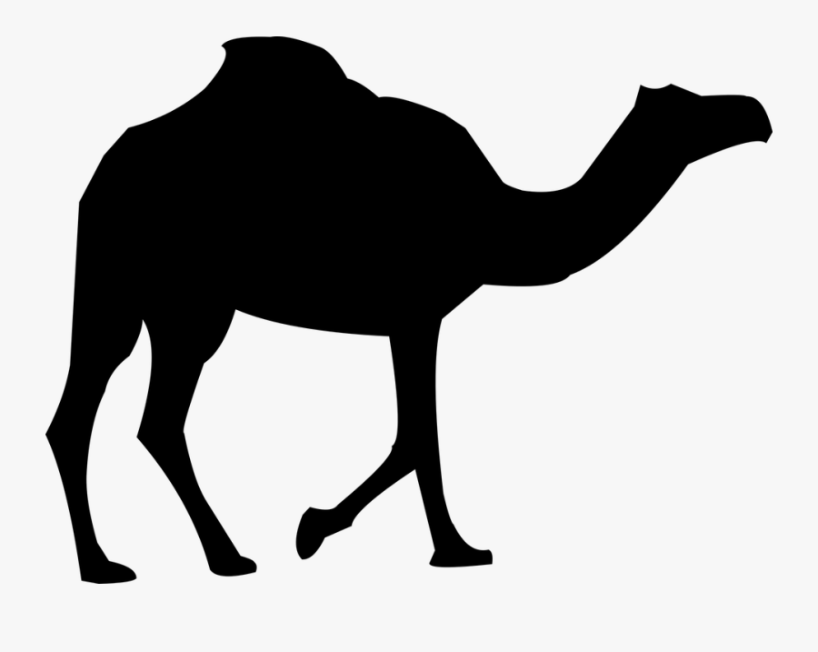 Deer Cliparts Shop Of - Black Camel Png, Transparent Clipart