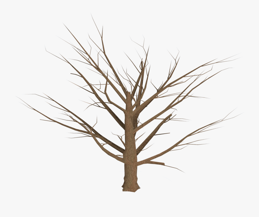 Dead Tree Empty Branches - Clipart Cactus Freigestellt, Transparent Clipart