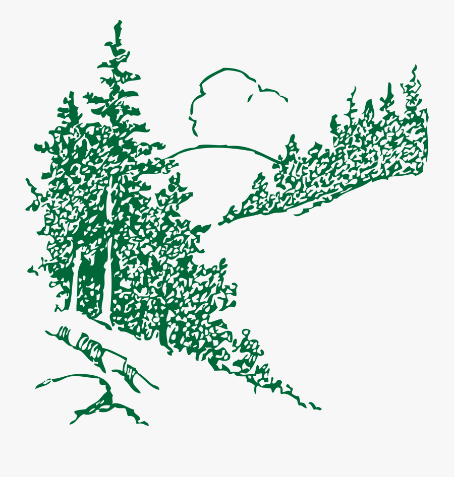 Black And White Pine Trees Clipart, Transparent Clipart