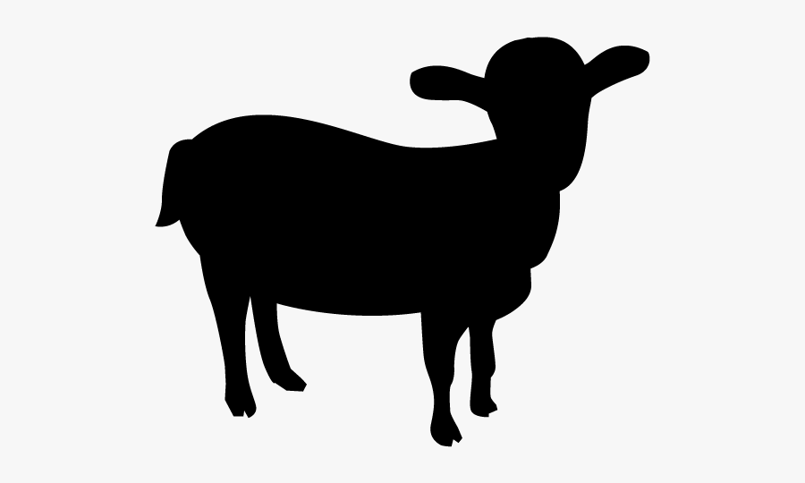 Mini Australian Shepherd Clipart, Transparent Clipart