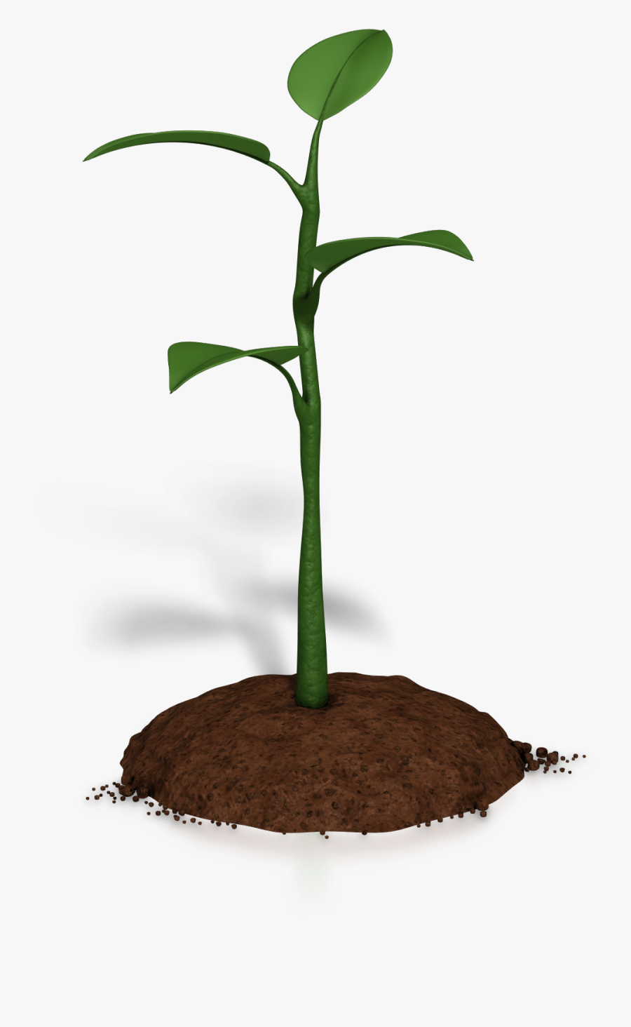 Soil Clipart Plant Growth - Without Continual Growth And Progress Such Words, Transparent Clipart