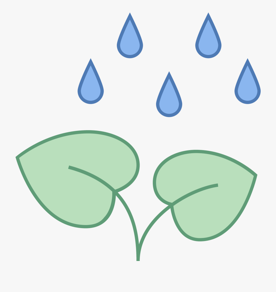Transparent Falling Rain Png - Rain On A Plant Clipart, Transparent Clipart