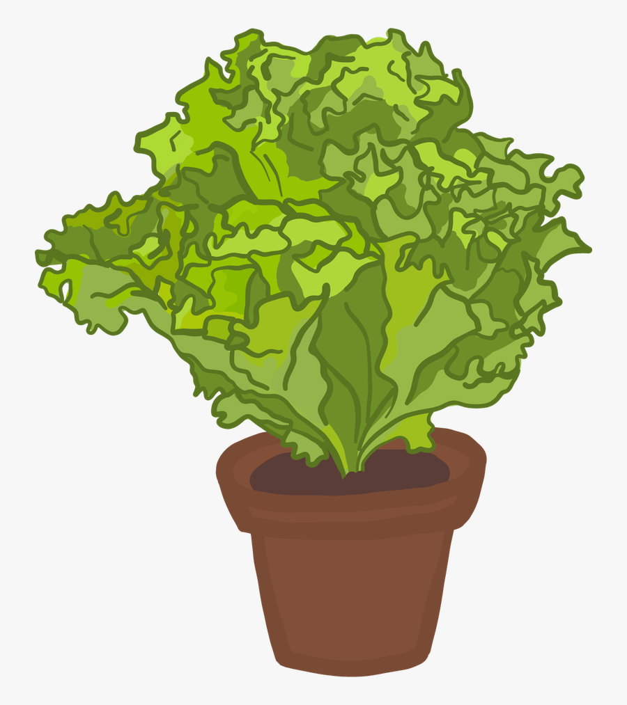 Growing Plant Clipart, Transparent Clipart