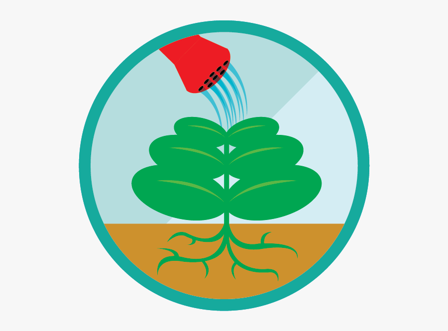 Emblem, Transparent Clipart