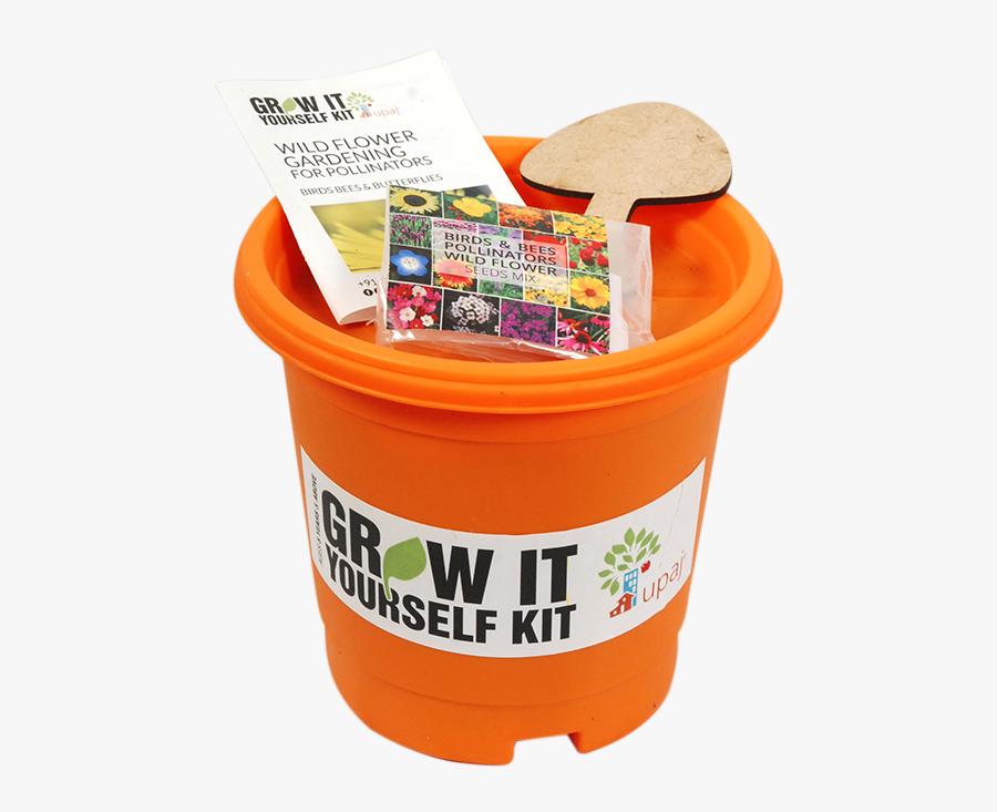 Birds & Bees Pollinators Giy Kit"
 Class="lazyload - Convenience Food, Transparent Clipart