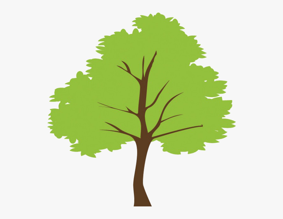 Transparent Bamboo Tree Png - Tree Vector Png, Transparent Clipart