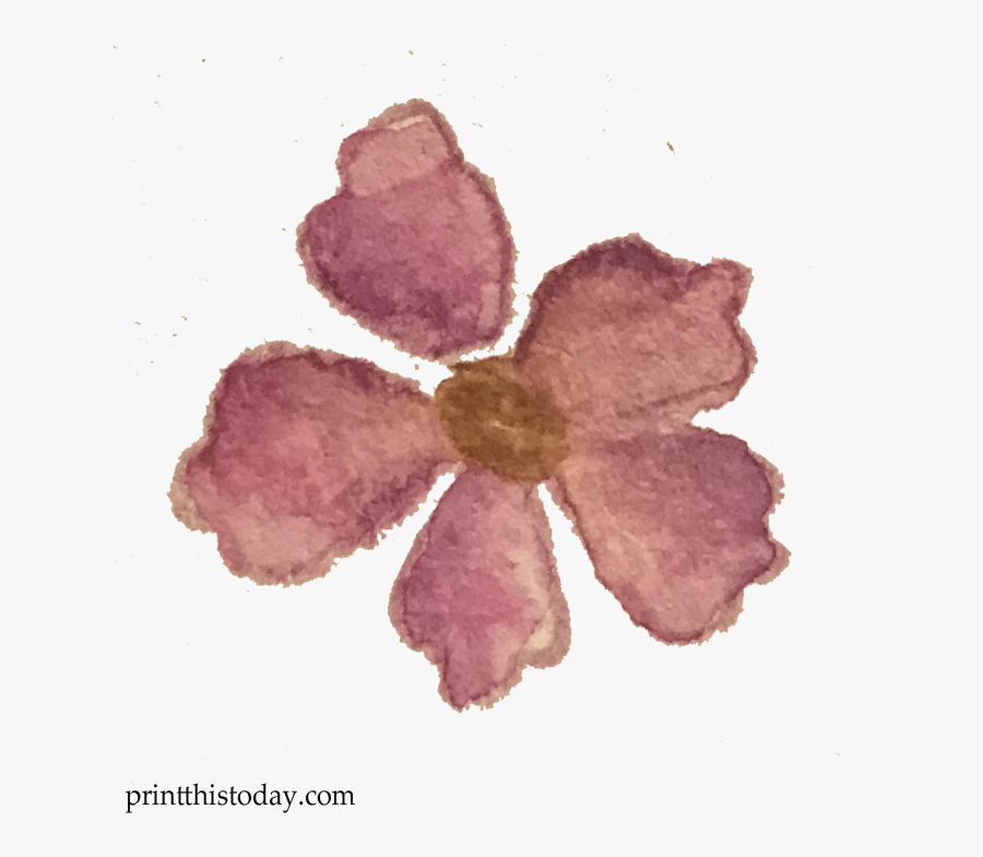 Free Watercolor Lilac Flower Clipart - Mayflower, Transparent Clipart