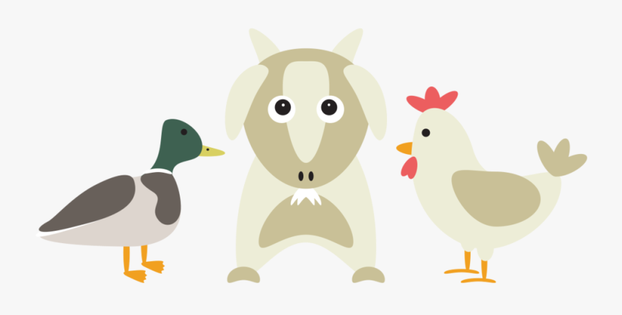 Duck, Goat, &amp - Mallard, Transparent Clipart