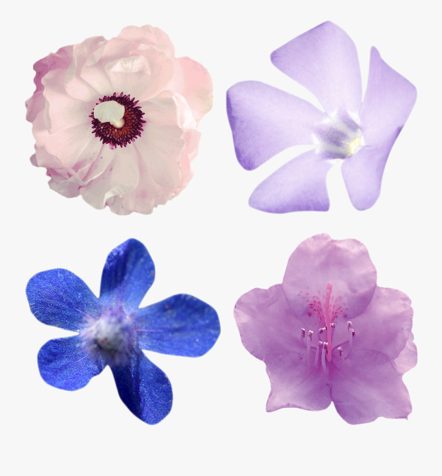 Use These Sample Clipart Items From The Flowers Clipart - Artificial Flower, Transparent Clipart