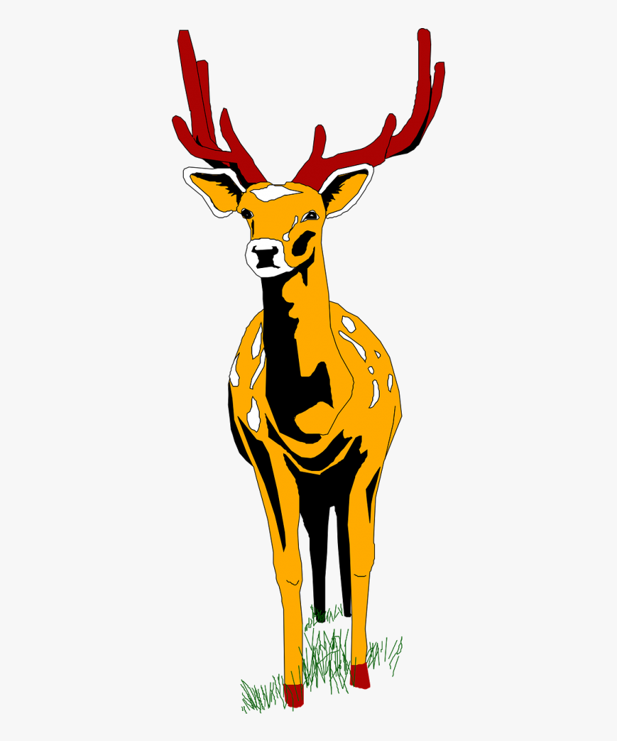 Stag Vector Wildlife - Deer Front Png, Transparent Clipart