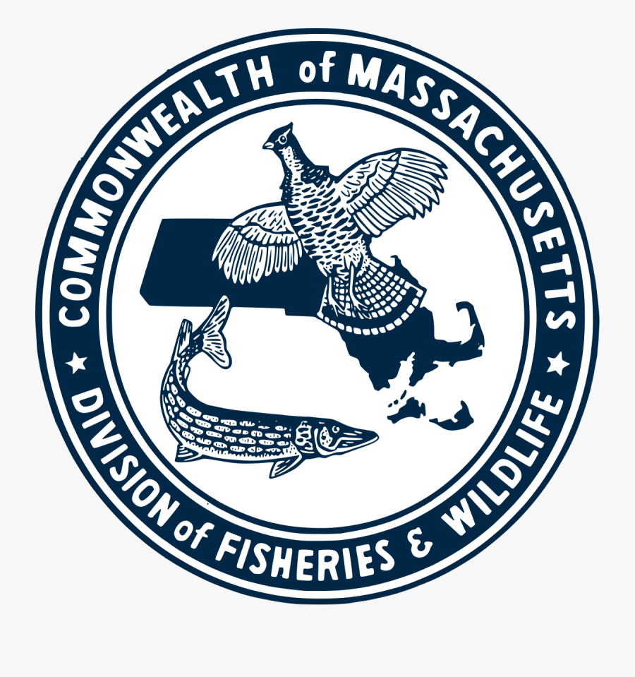 Division Of Fisheries And Wildlife Massachusetts Wikipedia - Emblem, Transparent Clipart