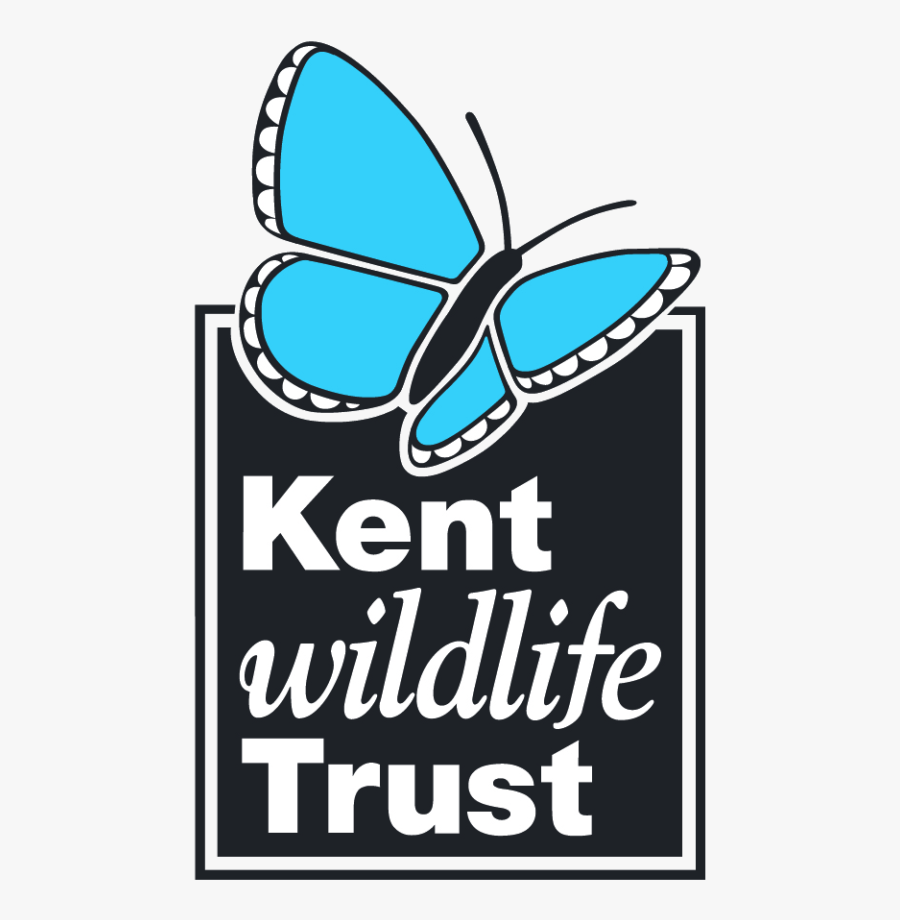 A New Art Exhibition Titled "together Separately - Kent Wildlife Trust, Transparent Clipart