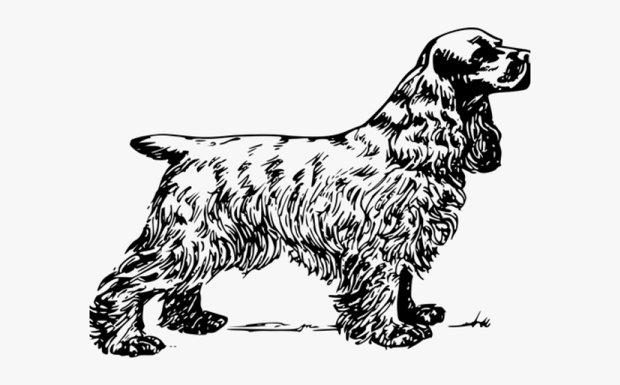 Cocker Spaniel Clipart, Transparent Clipart
