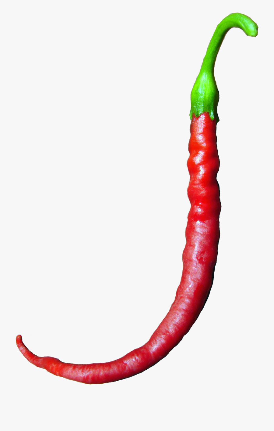 Bird's Eye Chili, Transparent Clipart