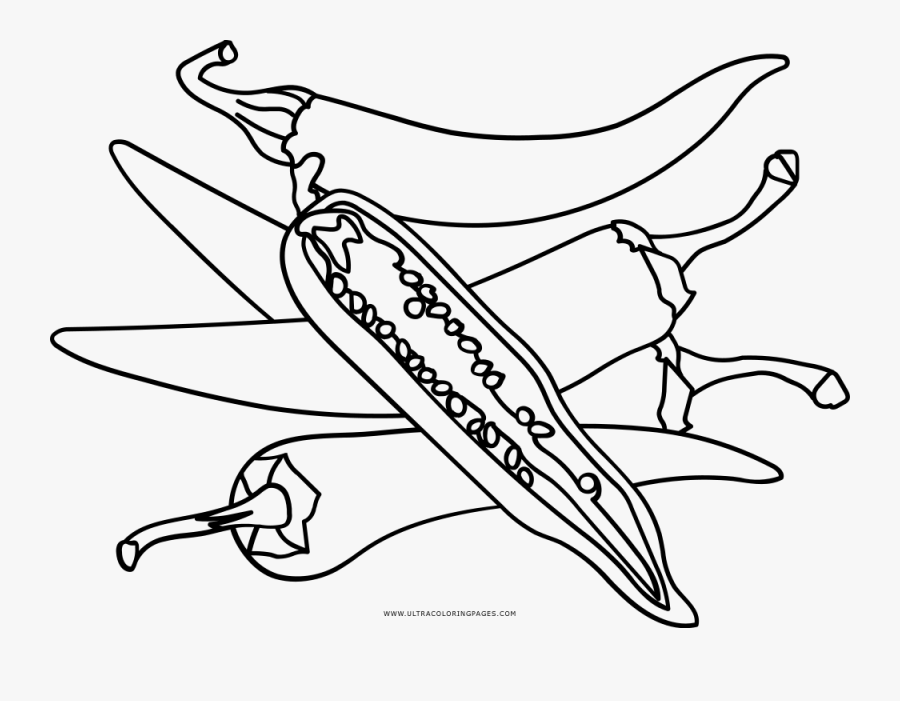 Chili Pepper Coloring Page - Line Art, Transparent Clipart