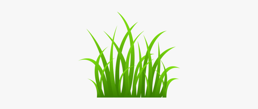 Grass Clipart, Transparent Clipart