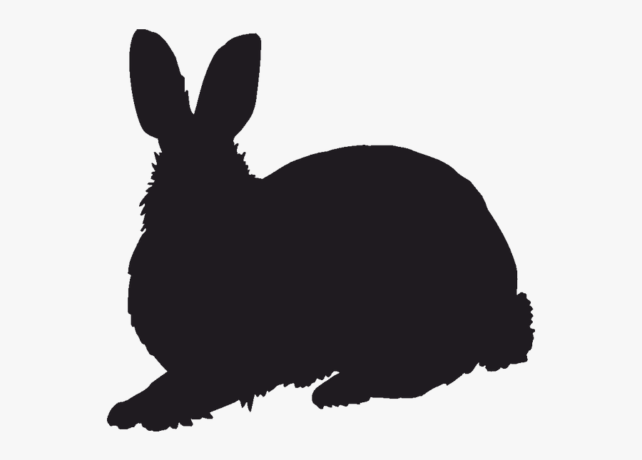 Domestic Rabbit Clipart Domestic Rabbit Hare Whiskers - Transparent Farm Animal Silhouettes, Transparent Clipart