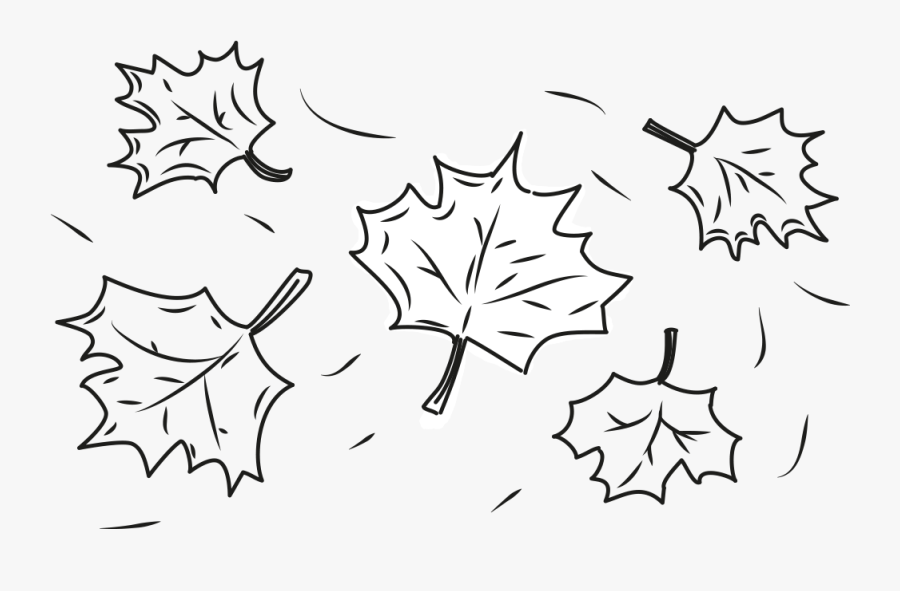 Line Art, Transparent Clipart