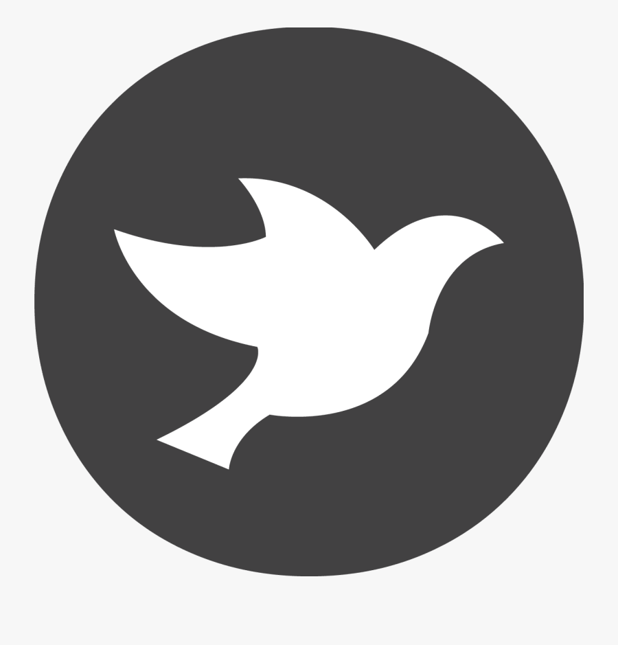 Star Logo In Circle, Transparent Clipart