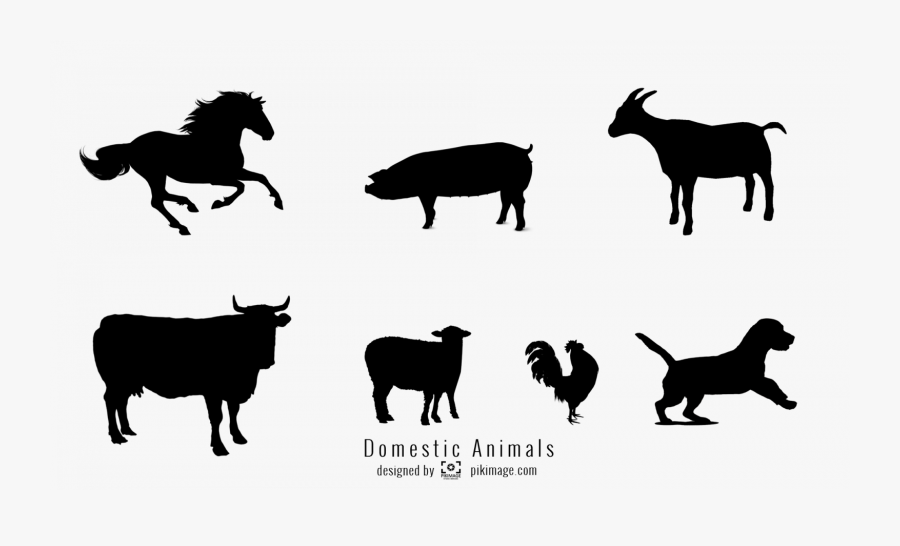 Domestic Animal Animal Silhouette, Transparent Clipart