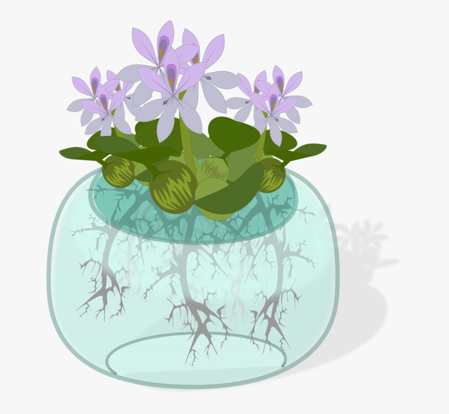 Plant,flora,petal - Plant On Water Clipart, Transparent Clipart