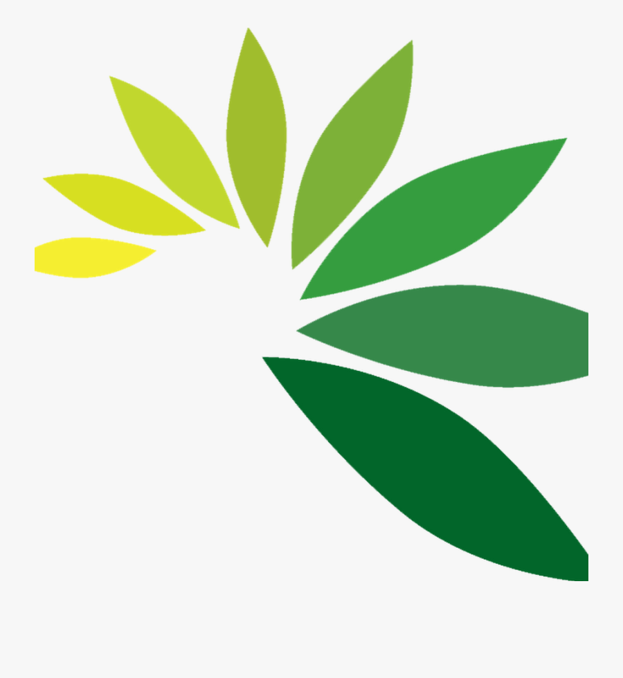 Water Logo, Leaf Logo, Concept Diagram, Logos, Plants, - Leaf Logo Png, Transparent Clipart