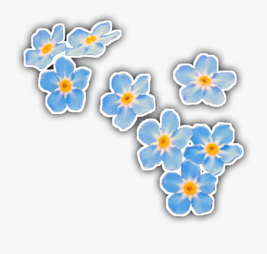 #forgetmenot #blue #flowers #collage #filler #yellow - Blue Flower Tumblr Png, Transparent Clipart