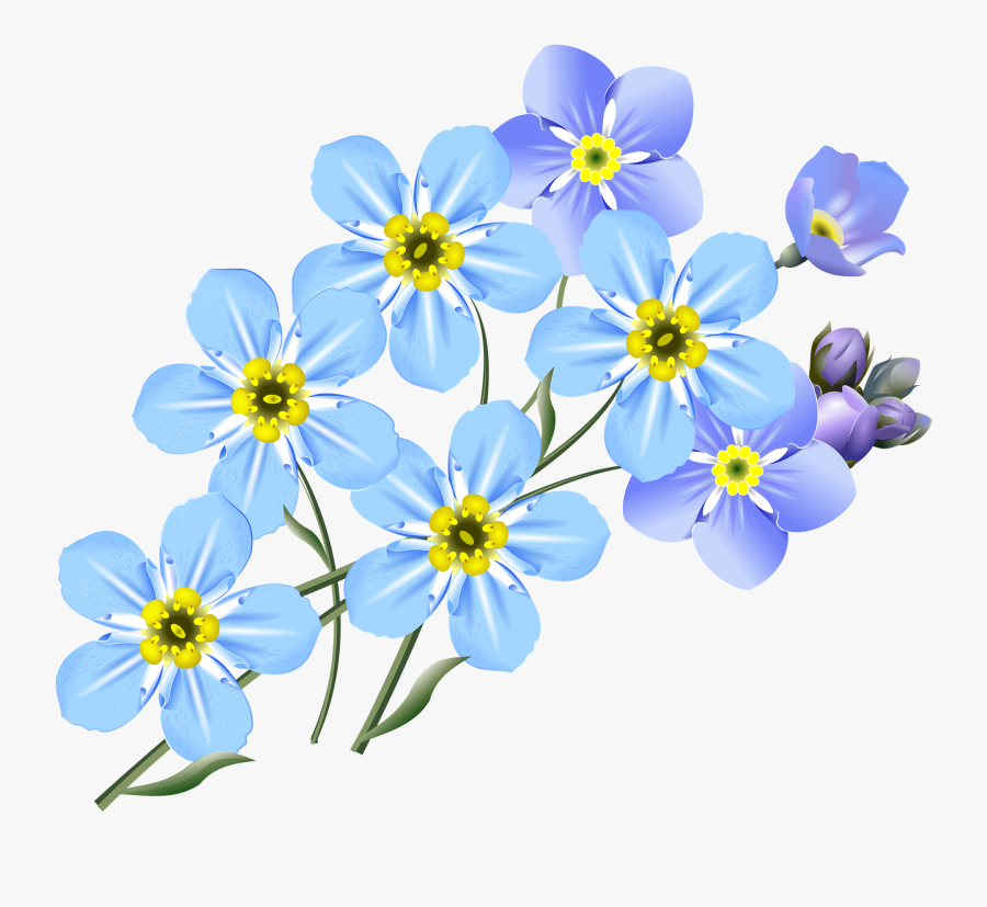 Clip Art Forget Me Not Clipart - Forget Me Not Flower Clipart, Transparent Clipart
