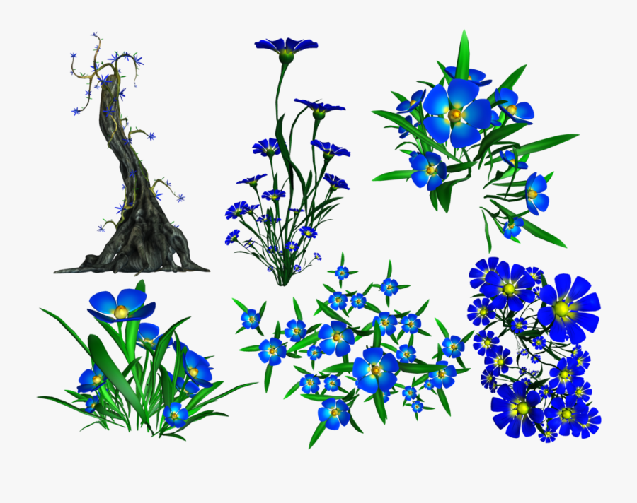 Forget Me Not Png Transparent Image - Portable Network Graphics, Transparent Clipart