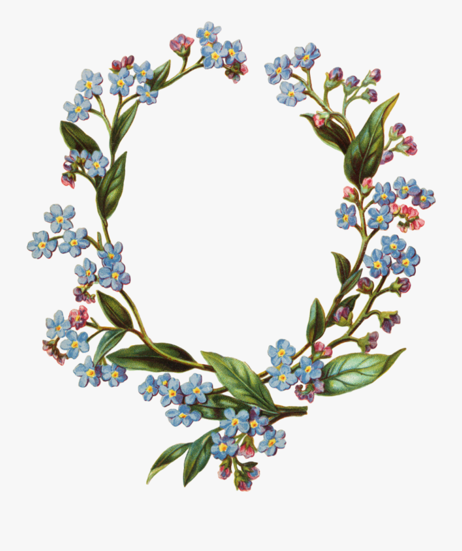 #beautiful Forget Me Not Oval Wreath - Flower Transparent Forget Me Not, Transparent Clipart