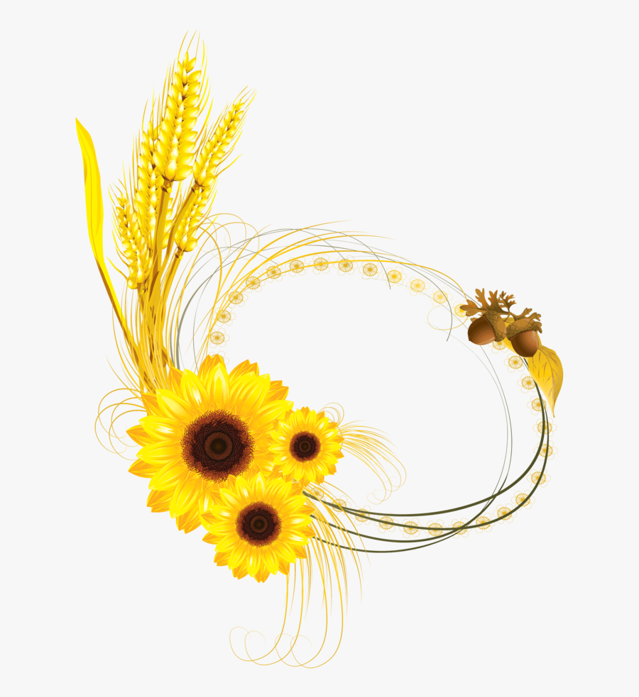 Free Png Wheat Borders, Transparent Clipart