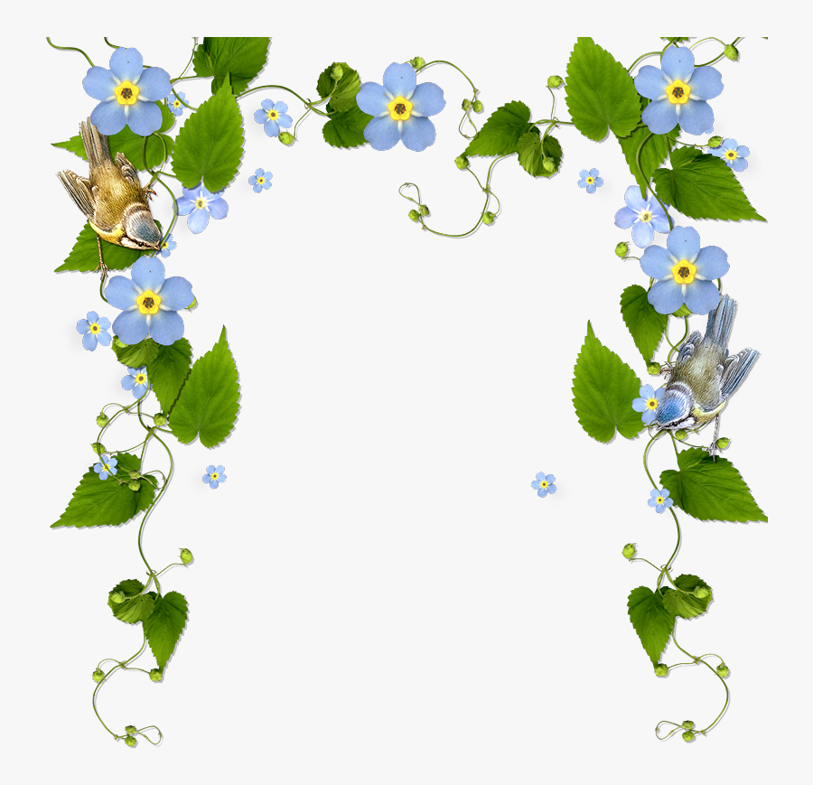 Dayflower, Transparent Clipart