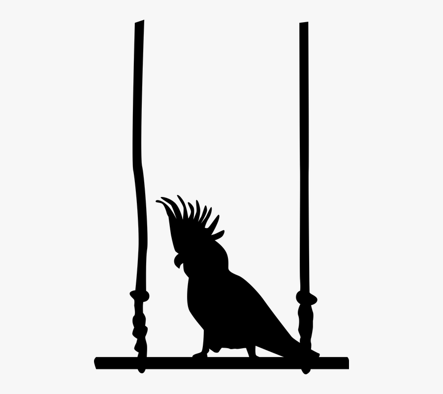 Bird On Swing Png, Transparent Clipart