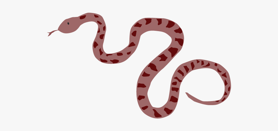 Snakes, Transparent Clipart