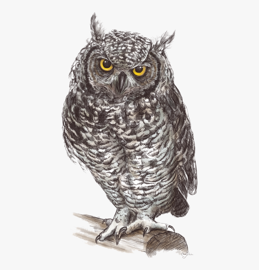 Owl Png Transparent Free Images - Owls Png, Transparent Clipart