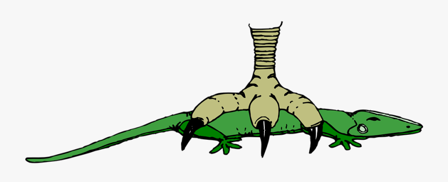 Clip Art, Transparent Clipart