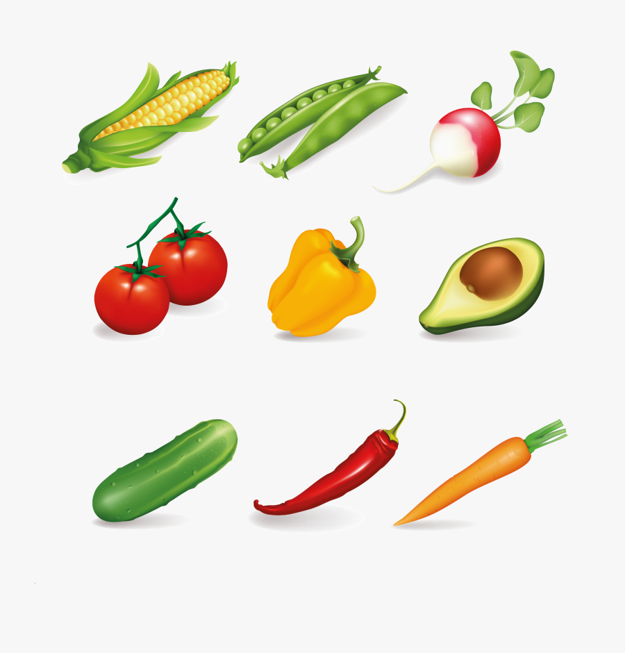 Common Vegetables, Transparent Clipart