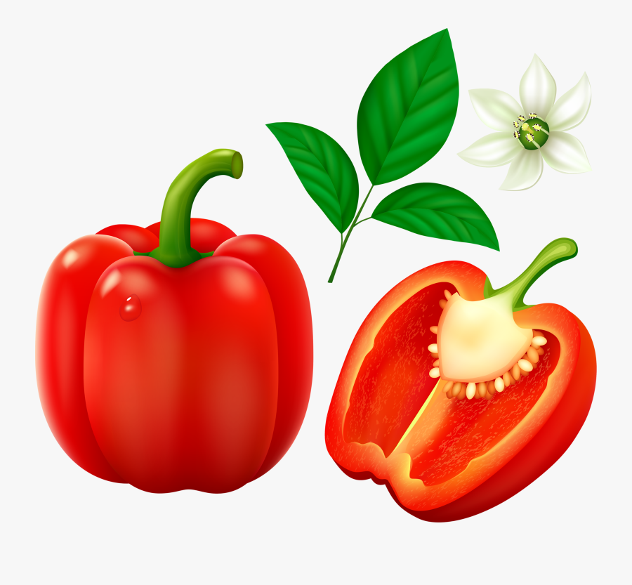 Transparent Background Bell Pepper Clipart, Transparent Clipart
