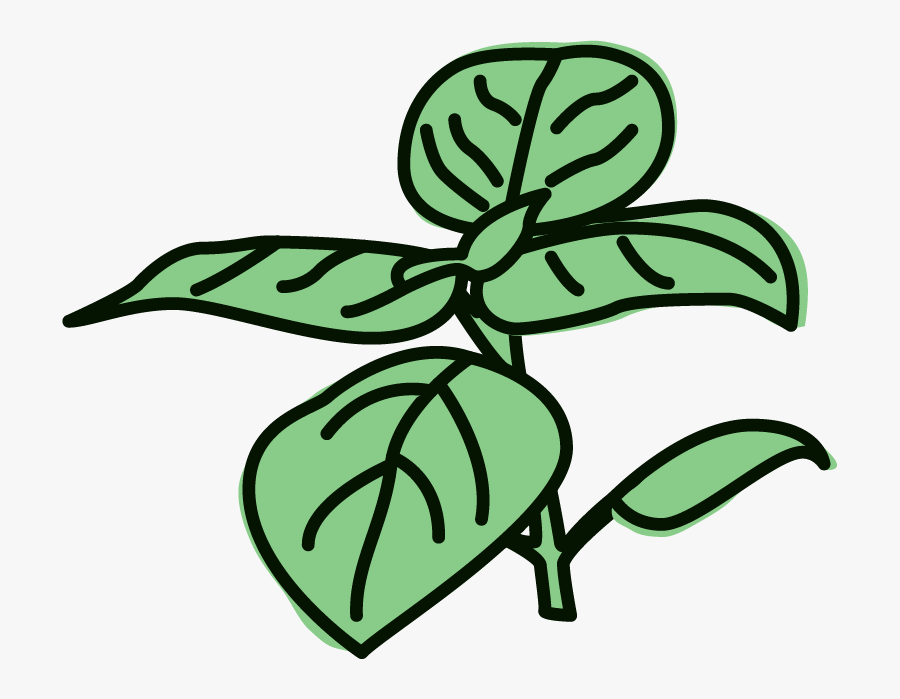 Lemon Basil Sorbet Clipart , Png Download - Basil Clip Art, Transparent Clipart