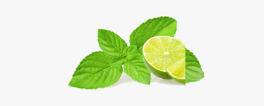 Lemons Clipart Lemon Leave - Illustration, Transparent Clipart