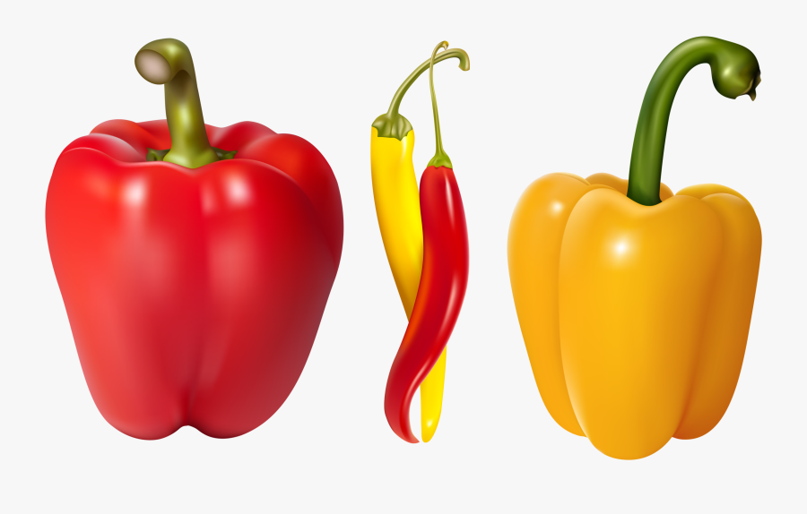 Pepper Vector, Transparent Clipart