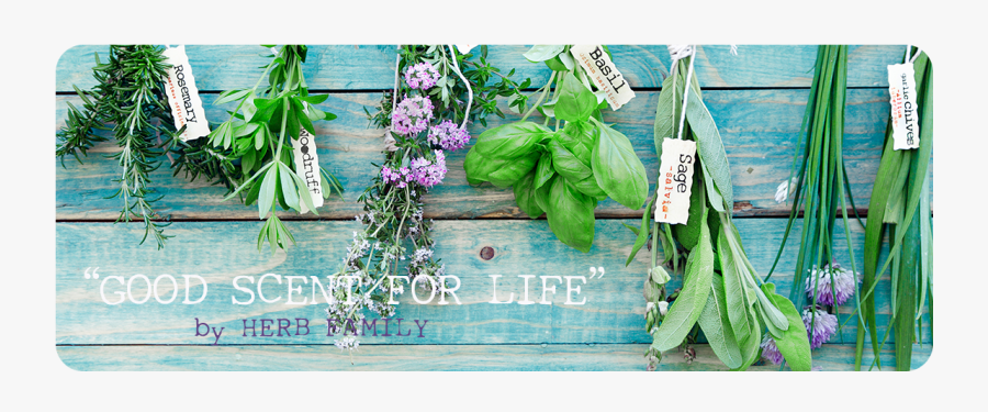 Clip Art Herbs For Creativity - Herbs For Decoration, Transparent Clipart