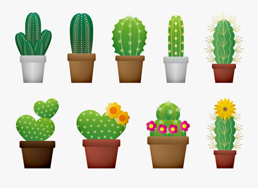 Cactus, Cacti, Cactus Flower, Nature, Bloom, Garden - Cactus Designs, Transparent Clipart