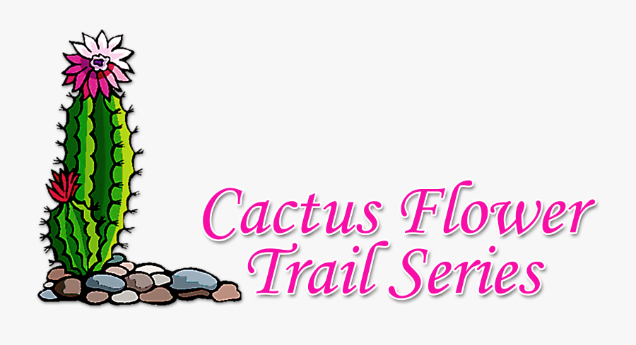 Media Item, Transparent Clipart