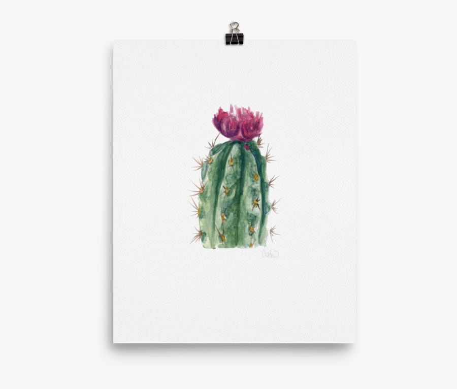 Cactus Flower - Weberocereus - Weberocereus, Transparent Clipart