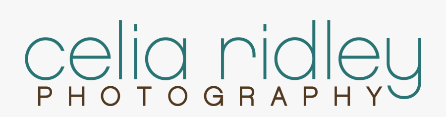 Transparent Microsoft Clipart Galleri, Transparent Clipart