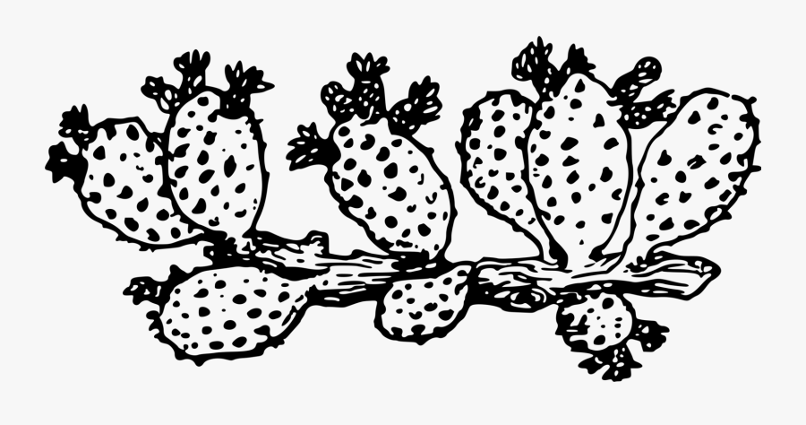 Monochrome Plant - Transparent Cactus Clipart Black And White, Transparent Clipart